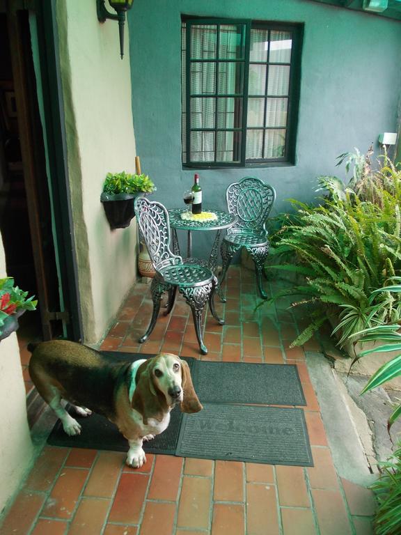 Villa Ocean Crest B&B Gansbaai Kültér fotó