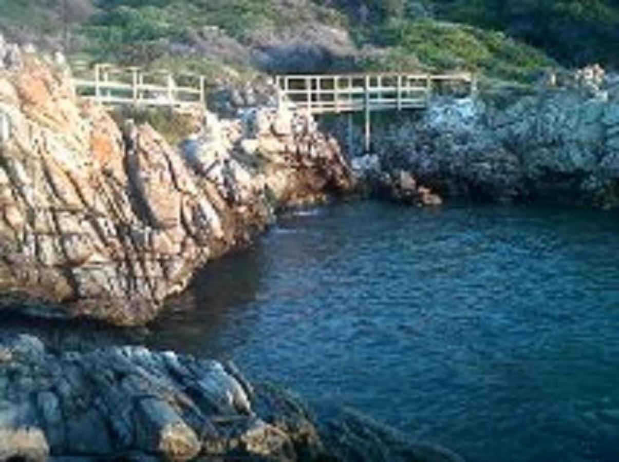 Villa Ocean Crest B&B Gansbaai Kültér fotó